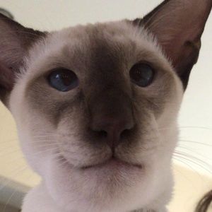 Meet your Posher, Ervin